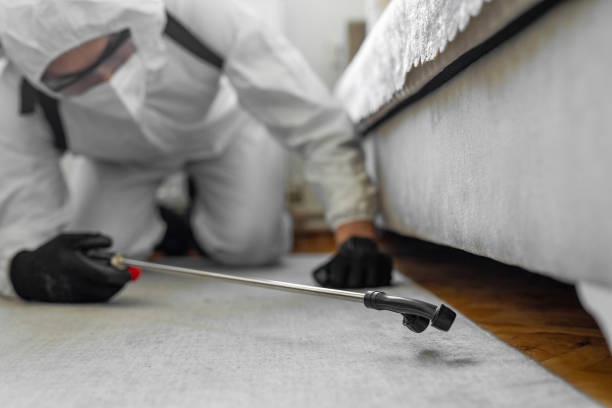 Professional Cockroach Control technician working in Mikes, TX